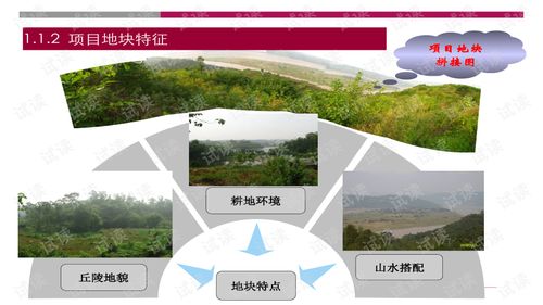 世联重庆大型旅游地产项目策划报告